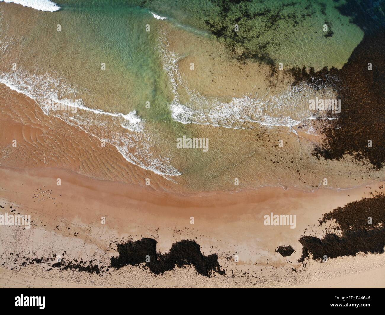 Warriewood Northern Beaches von Sydney NSW Stockfoto