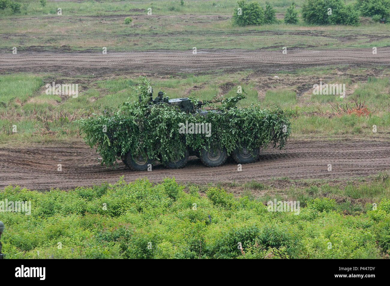 Eine polnische Wolverine Schützenpanzer bewegt sich in seine Schussposition bei einer Live - Demonstration während der Übung Anakonda 2016. Die Übung ist eine polnisch-led, multinationale Übung läuft von Juni 7-17, umfasst rund 31.000 Teilnehmer aus mehr als 20 Nationen und ist ein Premier, der Schulungsveranstaltung für die US-Armee in Europa. Stockfoto