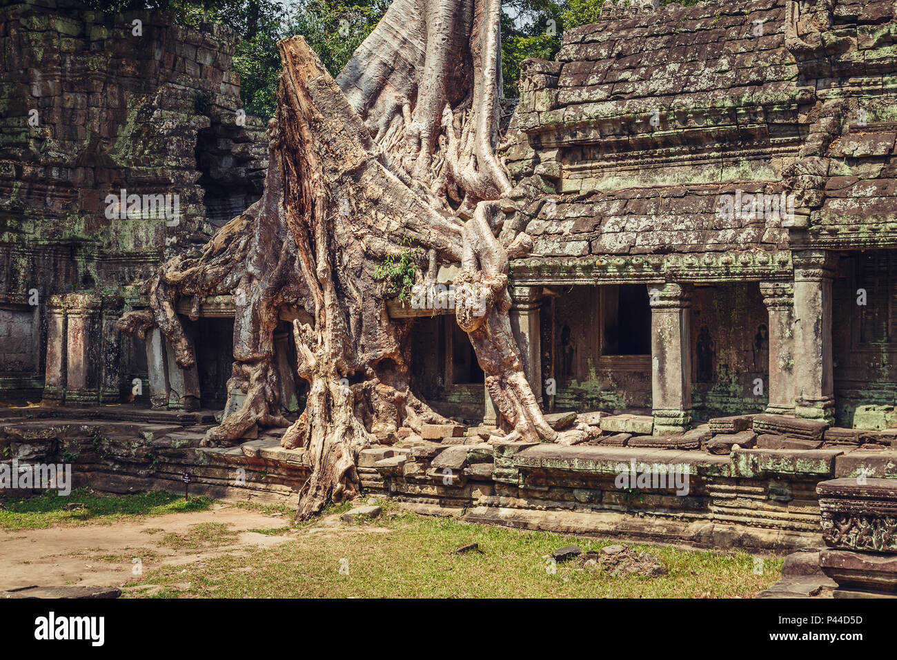 Alte und majestätischen Tempel Preah Khan. Großer Kreis von Angkor, Siem Reap, Kambodscha. Stockfoto