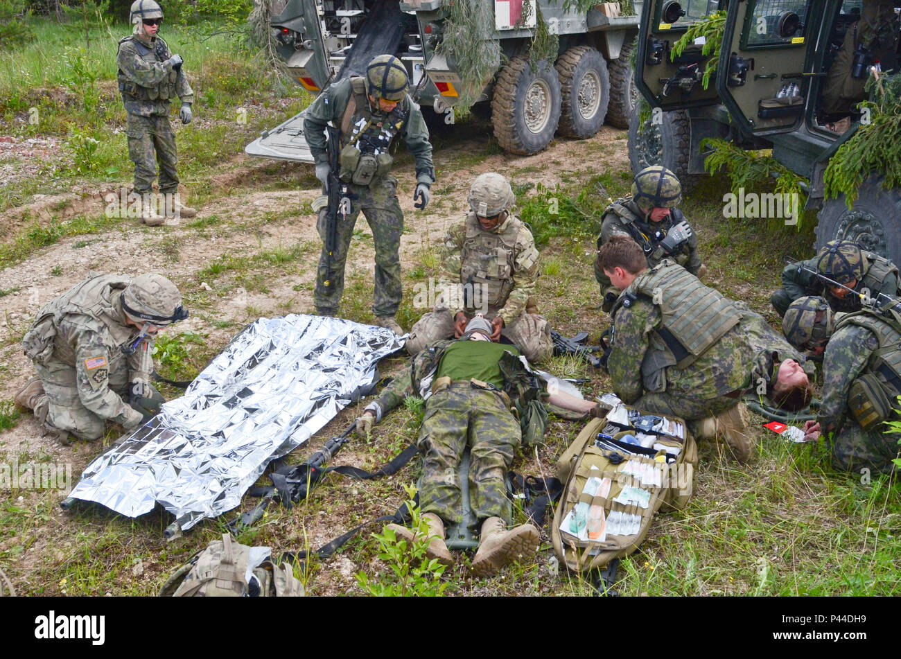 Finnische Soldaten der Armoured Reconnaissance Platoon und Eagle Truppe Soldaten der 2. Staffel, 2. Kavallerie Regiments, aus Vilseck, Deutschland stationiert, arbeiten zusammen, während eine taktische Unfallversicherung care Teil einer kombinierten Mannschaft Training übung in Tapa, Estland, 15. Juni 2016. (U.S. Armee Foto: Staff Sgt. Steven M. Colvin) Stockfoto