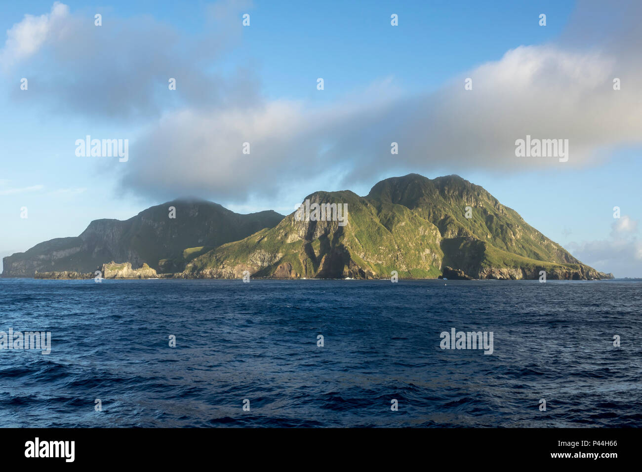 Nightingale Island, British Overseas Territories, South Atlantic Ocean Stockfoto