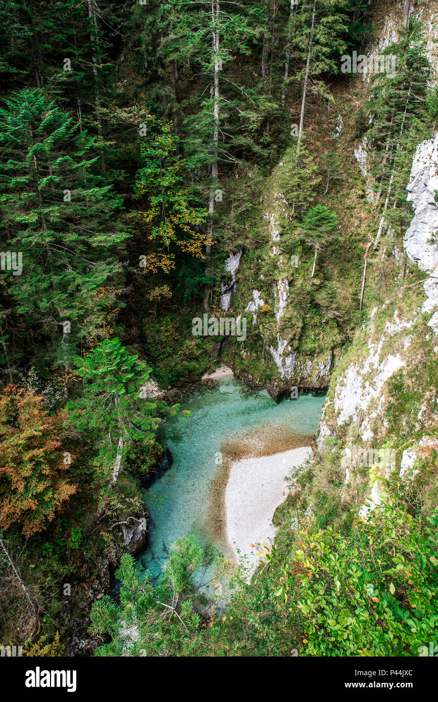 Leutaschklamm - wilde Schlucht mit Fluss in den Alpen von Deutschland Stockfoto