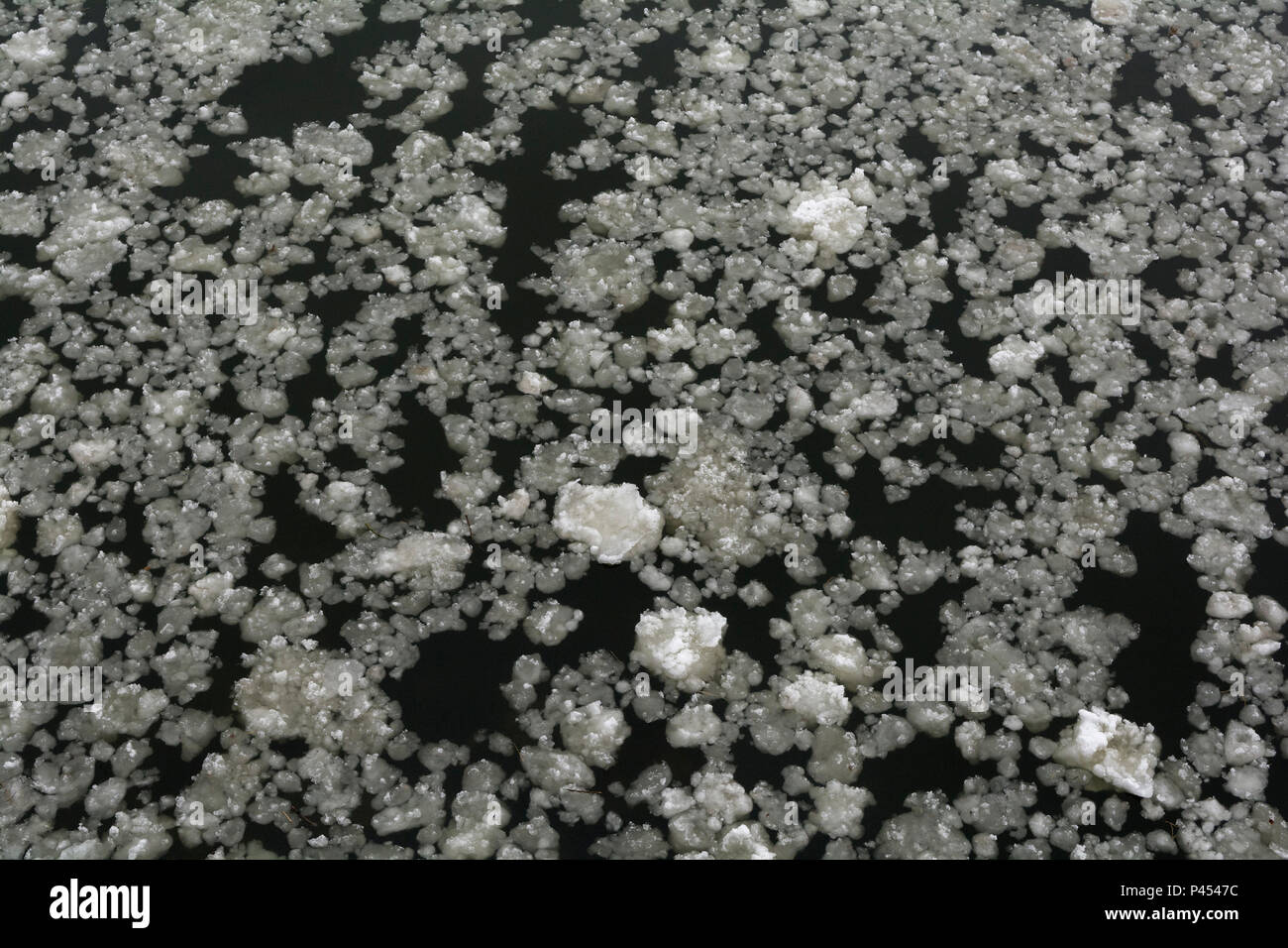 Eis und Schneematsch Muster auf dem Fluss Tweed Stockfoto