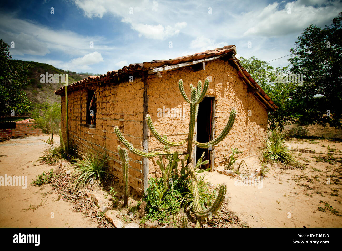 Dez/2013 Casa de Pau ein Pique tun coiteiro (selbstjustiz) de LampiÃ £ o vivia. Angicos, Valença £ o de Sergipe. Lokale onde iniciou ein trilha de Busca ao cangaceiro Virgulino Ferreira da Silva, o LampiÃ £ o, e esposa Maria Gomes de Oliveira, Maria Bonita, que acabou com o seu assassinato. Tags: Caatinga, vegetaÃ § Ã £ o, Seca, Valença £ o, cangaÃ § o cangaceiro, sergipe, Nordeste, lampiÃ £ o, Maria Bonita, cacto, Kaktus, paisagem, montanha, casa, Barro, Casa de Barro, Interieur, Casa de Pau ein Pique, Pau ein Pique. Foto: Anna Carolina Negri/Fotoarena Stockfoto