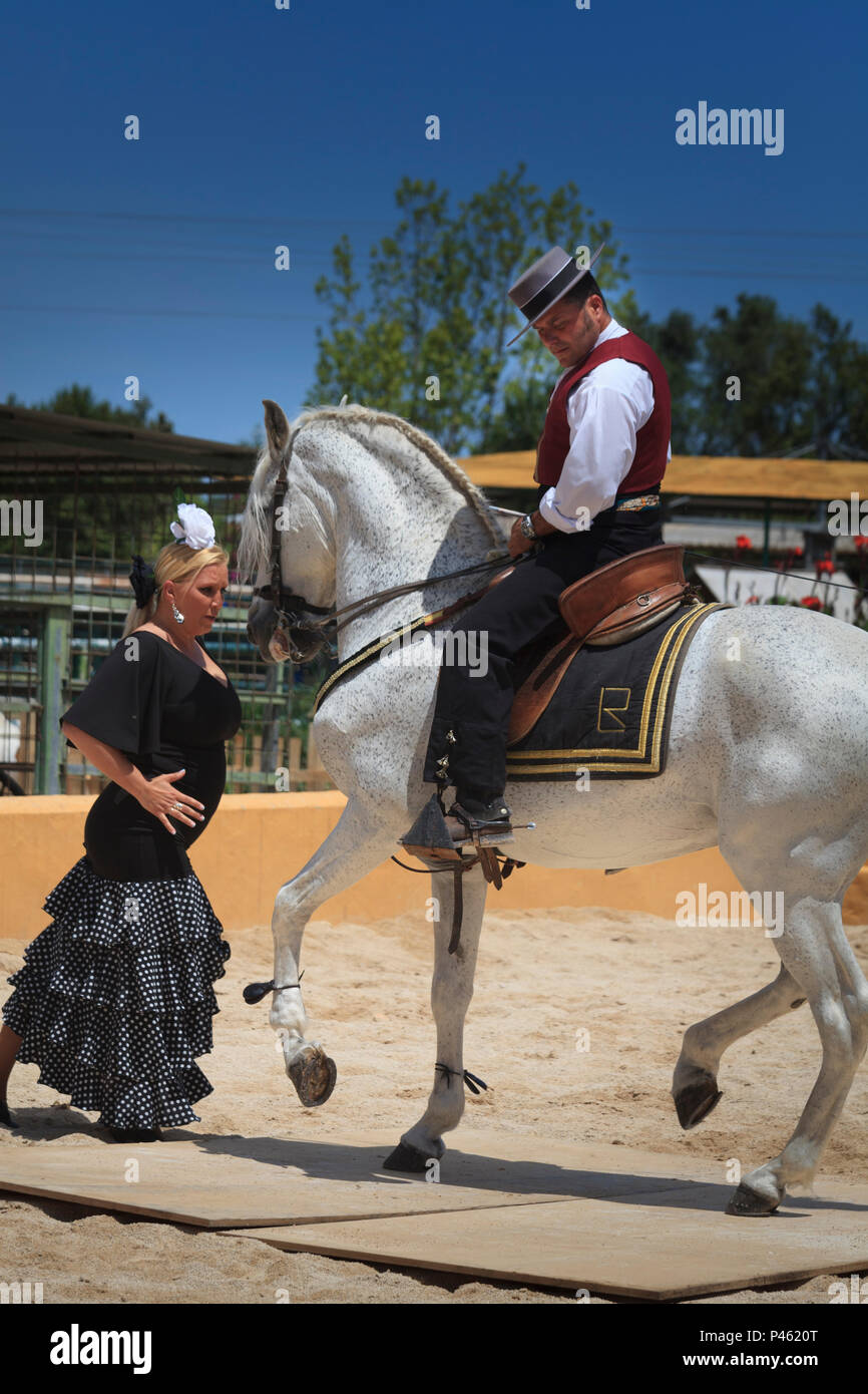 Spanische Flamenco mit Pferd und Tänzerin Stockfoto