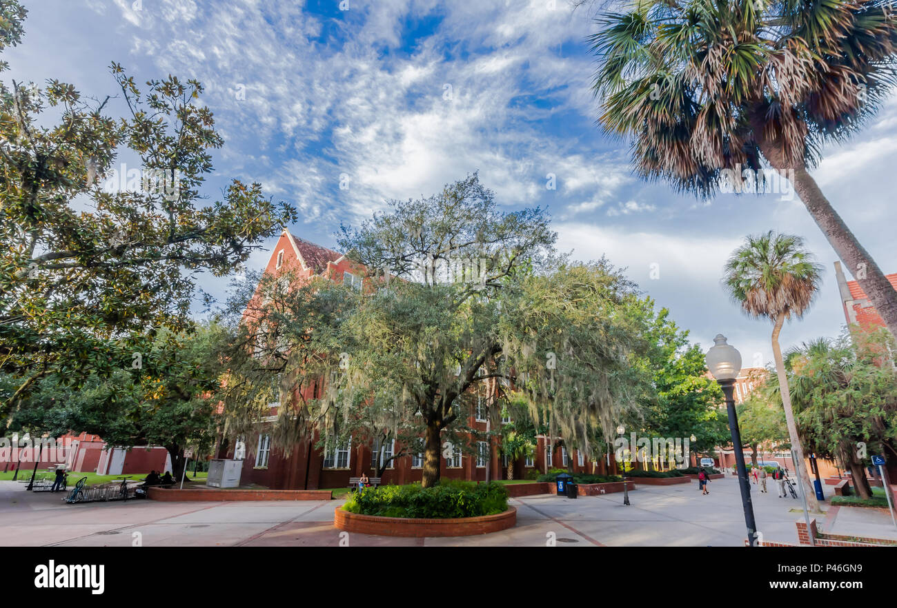 Smathers Library an der Universität von Florida am 12. September 2016 in Gainesville, Florida. Stockfoto
