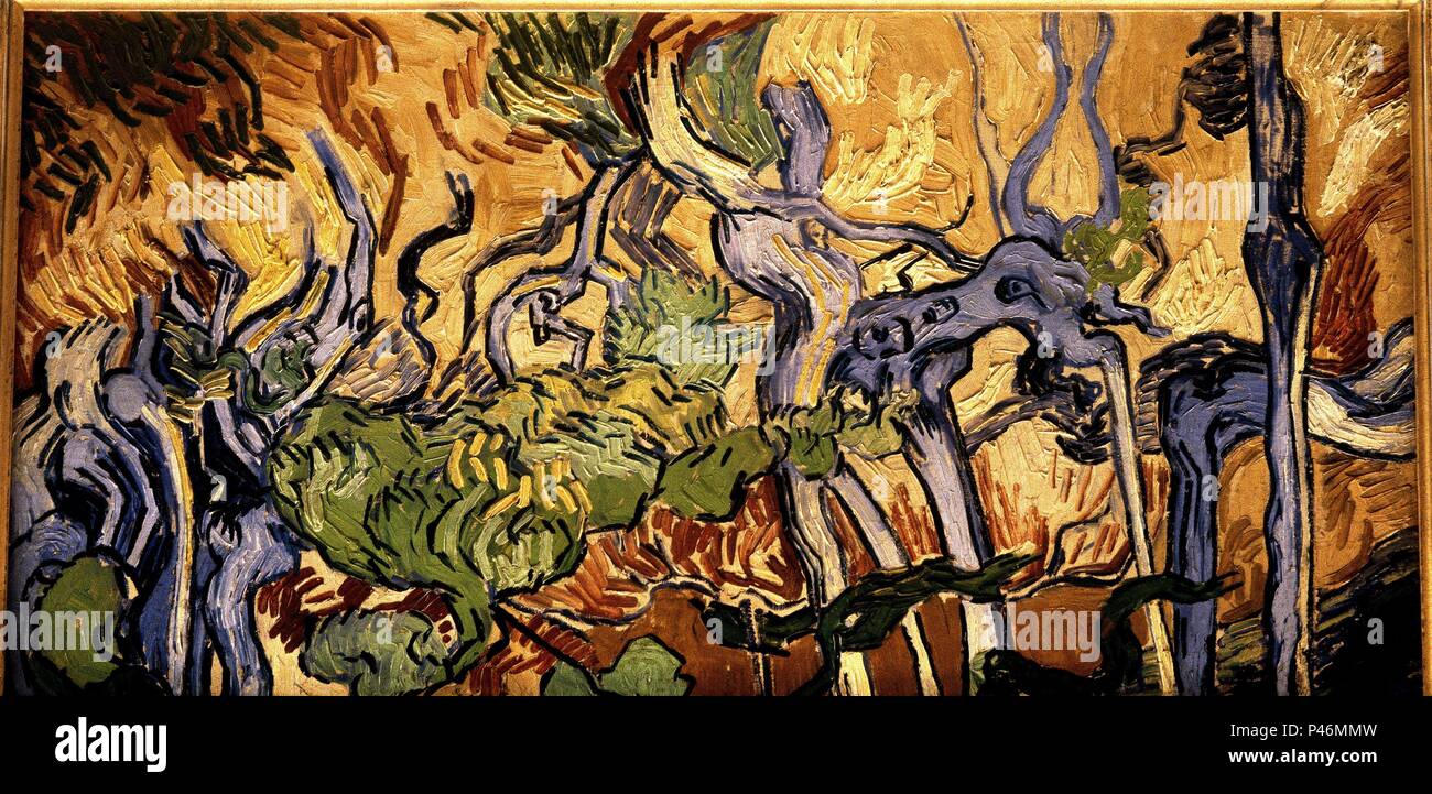 Niederländische Schule. Baumwurzeln und Amtsleitungen. 1890. Öl auf Leinwand (50 x 100 cm). Amsterdam, Van Gogh Museum. Autor: Vincent van Gogh (1853-1890). Ort: Van Gogh Museum, Amsterdam, HOLANDA. Stockfoto