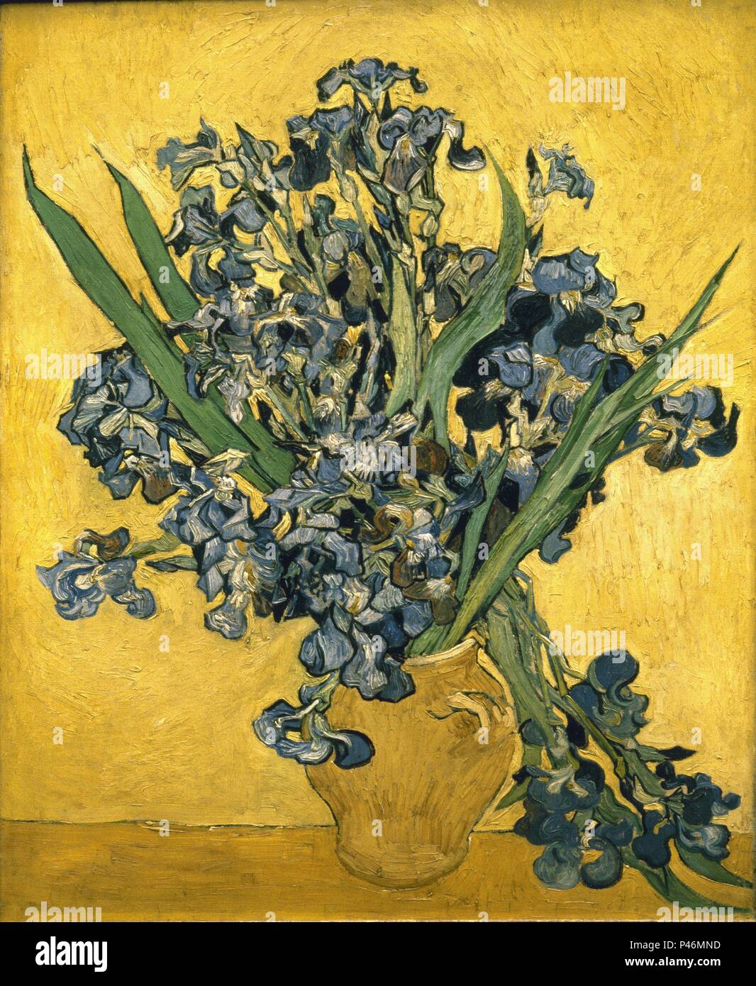 Niederländische Schule. Vase mit Iris vor einem gelben Hintergrund. 1890. Öl auf Leinwand (92 x 73,5 cm). Amsterdam, Van Gogh Museum. Autor: Vincent van Gogh (1853-1890). Ort: Van Gogh Museum, Amsterdam, HOLANDA. Stockfoto