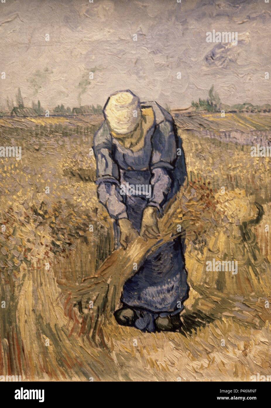 LA AGAVILLADORA (SEGUN HIRSE) - September 1889 - O/L SOBRE KARTON 43 X 33 CM. Autor: Vincent van Gogh (1853-1890). Ort: Van Gogh Museum, Amsterdam, HOLANDA. Stockfoto
