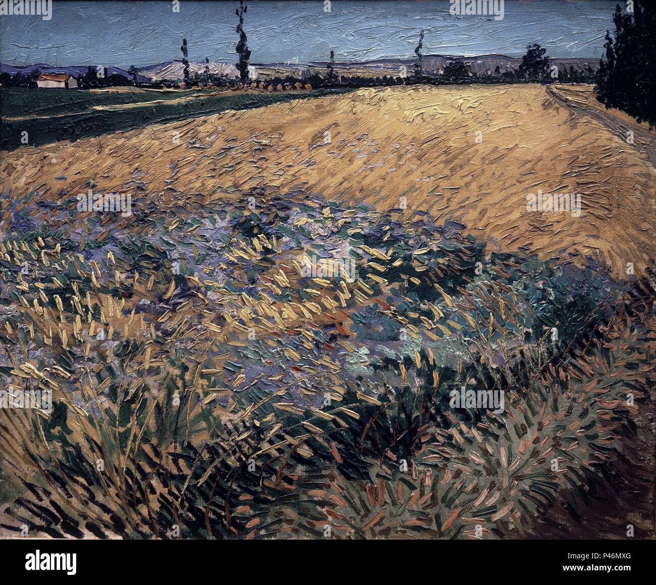 TRIGAL CON LAS COLINAS DE LAS ALPILLES AL FONDO - Oct 1888 - O/L S KARTON 54 X 65 CM. Autor: Vincent van Gogh (1853-1890). Ort: Van Gogh Museum, Amsterdam, HOLANDA. Stockfoto