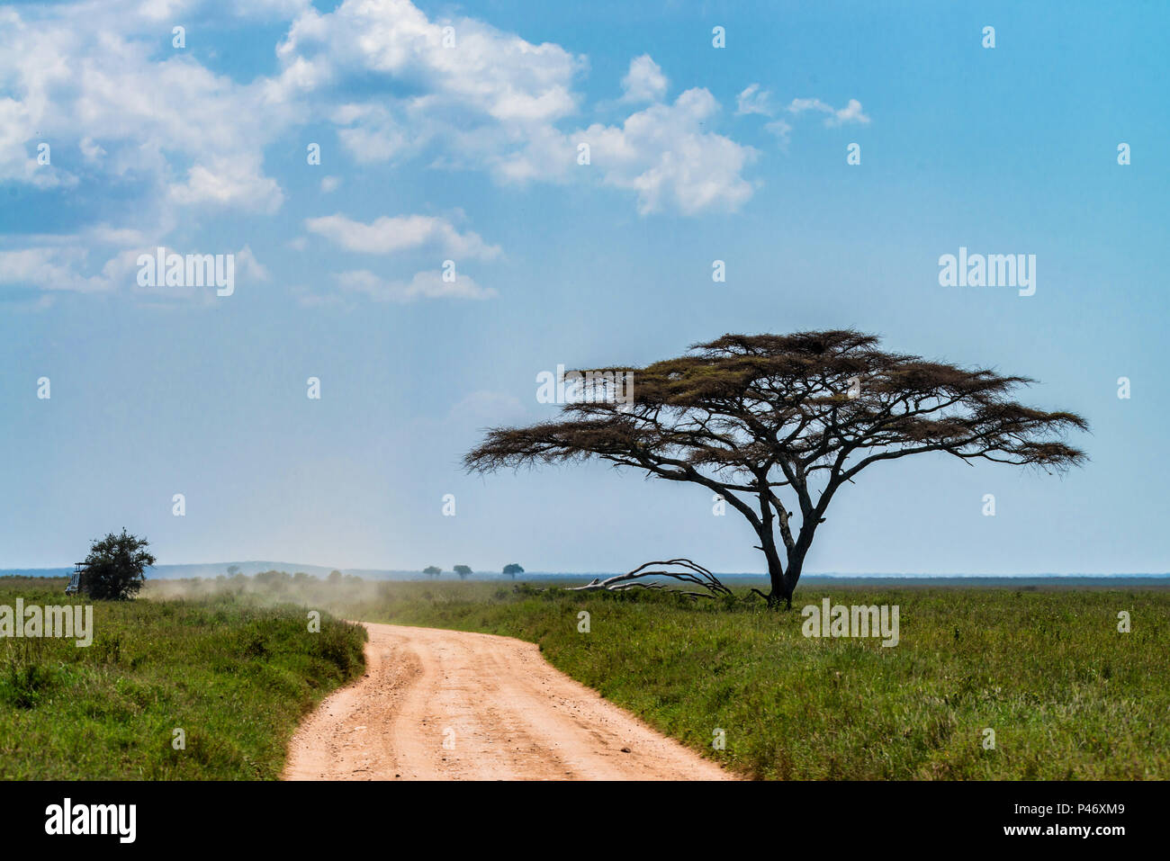 Straße in der Savanne schöne Landschaft Stockfoto