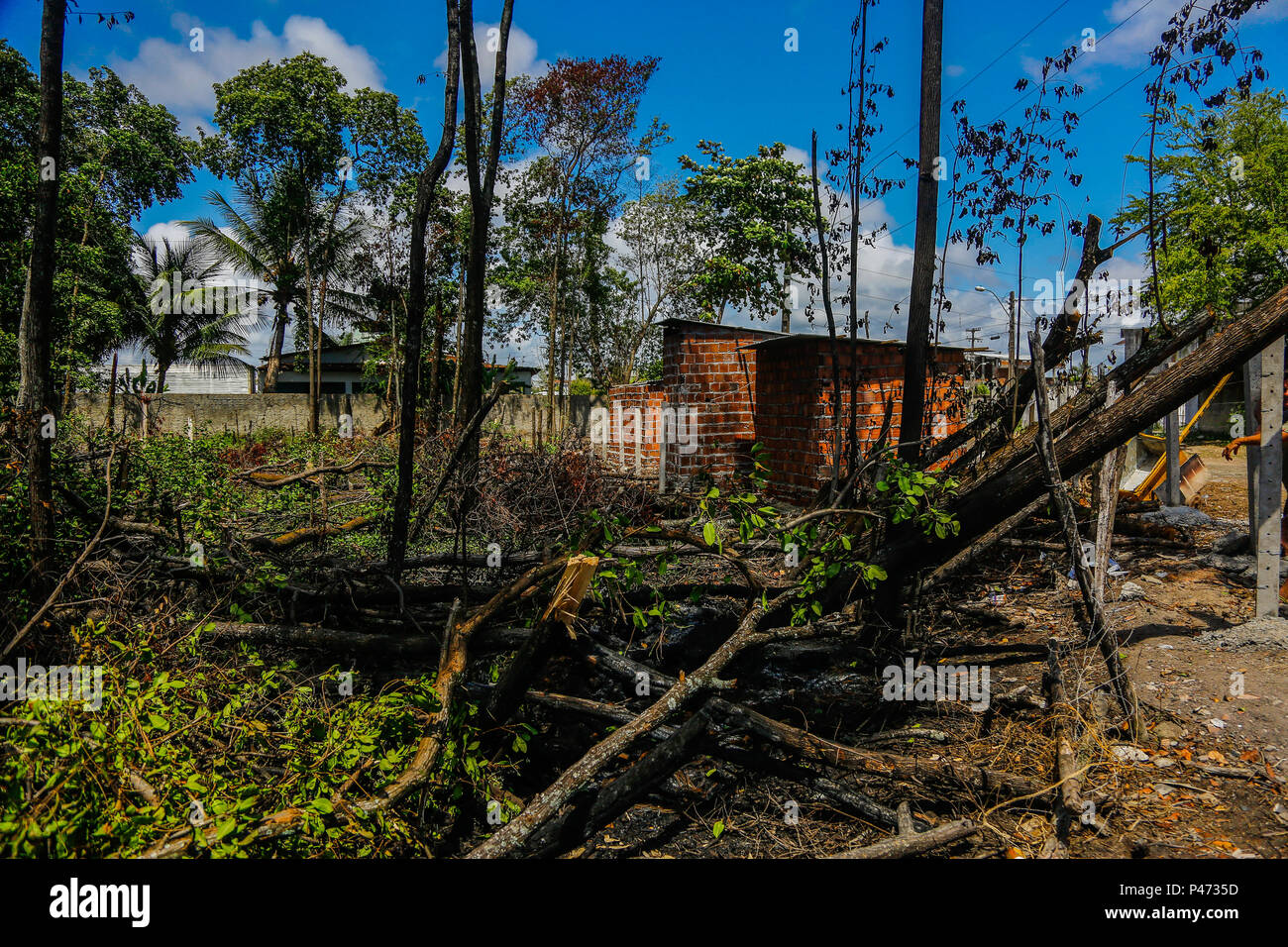 RECIFE, PE - 11/01/2015: INVASÕES keine MANGUE DO RECIFE - Keine Bairro de Jiquiá, na Zona Oeste do Recife, um trecho de Mangue está sob investigação do Ministério Público de Pernambuco (MPPE) por Conta do desmatamento unregelmäßige para construção de imóveis. Lixo é esgoto ein céu aberto tomam Conta da área. (Foto: Carlos Ezequiel Vannoni/Agência JCM/Fotoarena) Stockfoto