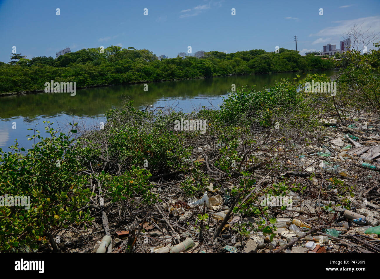 RECIFE, PE - 11/01/2015: INVASÕES keine MANGUE DO RECIFE - Keine Bairro de Jiquiá, na Zona Oeste do Recife, um trecho de Mangue está sob investigação do Ministério Público de Pernambuco (MPPE) por Conta do desmatamento unregelmäßige para construção de imóveis. Lixo é esgoto ein céu aberto tomam Conta da área. (Foto: Carlos Ezequiel Vannoni/Agência JCM/Fotoarena) Stockfoto