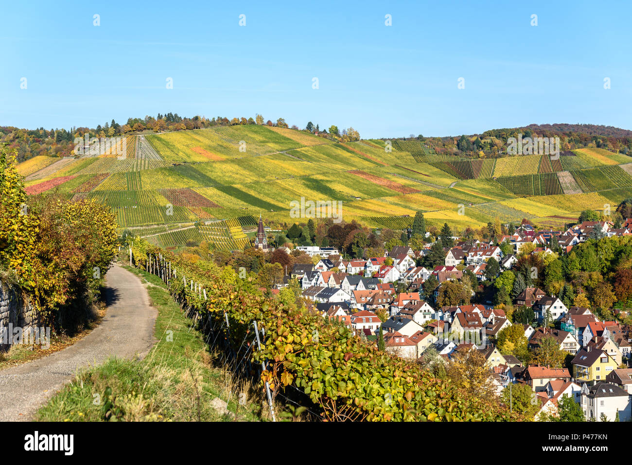 Weinberge bei Stuttgart Uhlbach im Neckartal - schöne Landschaft im Herbst in Deutschland Stockfoto