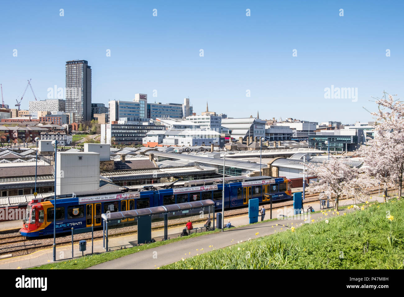 Die supertram an der Sheffield Station Haltestelle mit der Stadt Sheffield Skyline im Hintergrund, Sheffield, South Yorkshire, England, Großbritannien Stockfoto