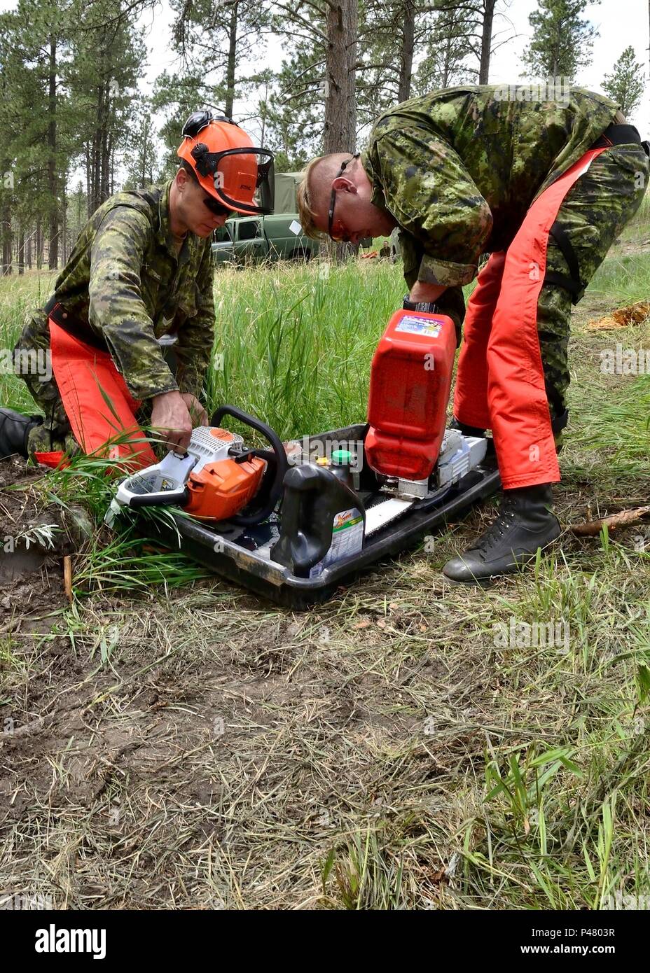 ENGLISH/ANGLAIS WA 2016-0025-02 13 Juni 2016 Corporal (CPL) Ryan Ference und Cpl Ben Strokappe, Soldaten aus 41 Combat Engineer Regiment (41 CER) mit Task Force 41 vorbereiten Kettensägen zu löschen Zweige von einer Last auf einer US National Guard 1083 LMTV Transport-LKW im Custer State Park in South Dakota während der Übung GOLDEN KOJOTE16 am Juni 13, 2016 anmelden. 240 Kanadische Armee Reservisten von 41 kanadischen Brigade Group (41 CBG) wird in der Übung GOLDEN COYOTE 2016 in South Dakota teilnehmen, von Juni 11 bis 23, 2016. Rund 4000 Soldaten aus Kanada, Dänemark, Singapur, Surina Informationen Stockfoto