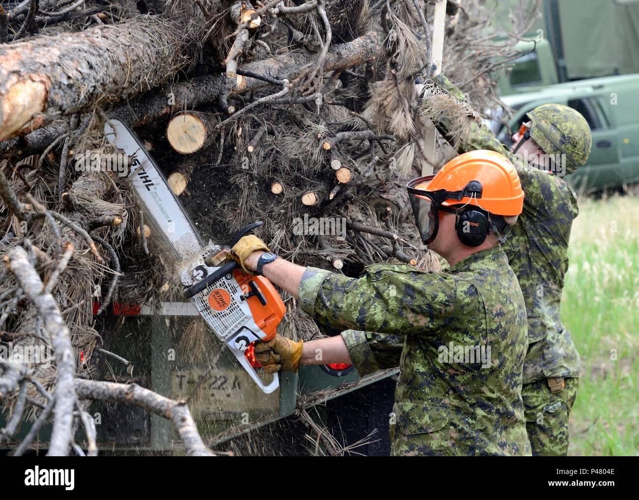 ENGLISH/ANGLAIS WA 2016-0025-07 13 Juni 2016 Corporal Ben Strokappe ab 41 Combat Engineer Regiment (41 CER) mit Task Force 41 verwendet eine Kettensäge zu löschen Zweige von einer Last auf einer US National Guard 1083 LMTV Transport-LKW während der Übung GOLDEN COYOTE 2016 Am 13. Juni 2016 anmelden. 240 Kanadische Armee Reservisten von 41 kanadischen Brigade Group (41 CBG) wird in der Übung GOLDEN COYOTE 2016 in South Dakota teilnehmen, von Juni 11 bis 23, 2016. Rund 4000 Soldaten aus Kanada, Dänemark, Singapur, Suriname, dem Vereinigten Königreich und den Vereinigten Staaten zusammenarbeiten werden t Stockfoto