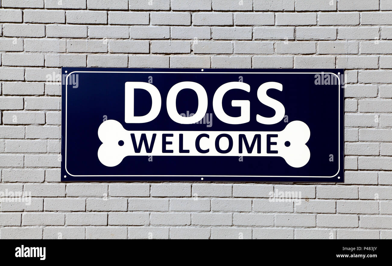 Hunde sind Willkommen, Zeichen, Hunstanton, England, UK, Cafe, Zeichen Stockfoto
