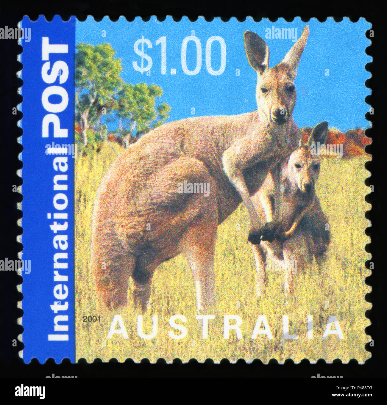 Australien - ca. 2001: einen Stempel in Australien gedruckten zeigt, Kängurus, Serie, ca. 2001 Stockfoto