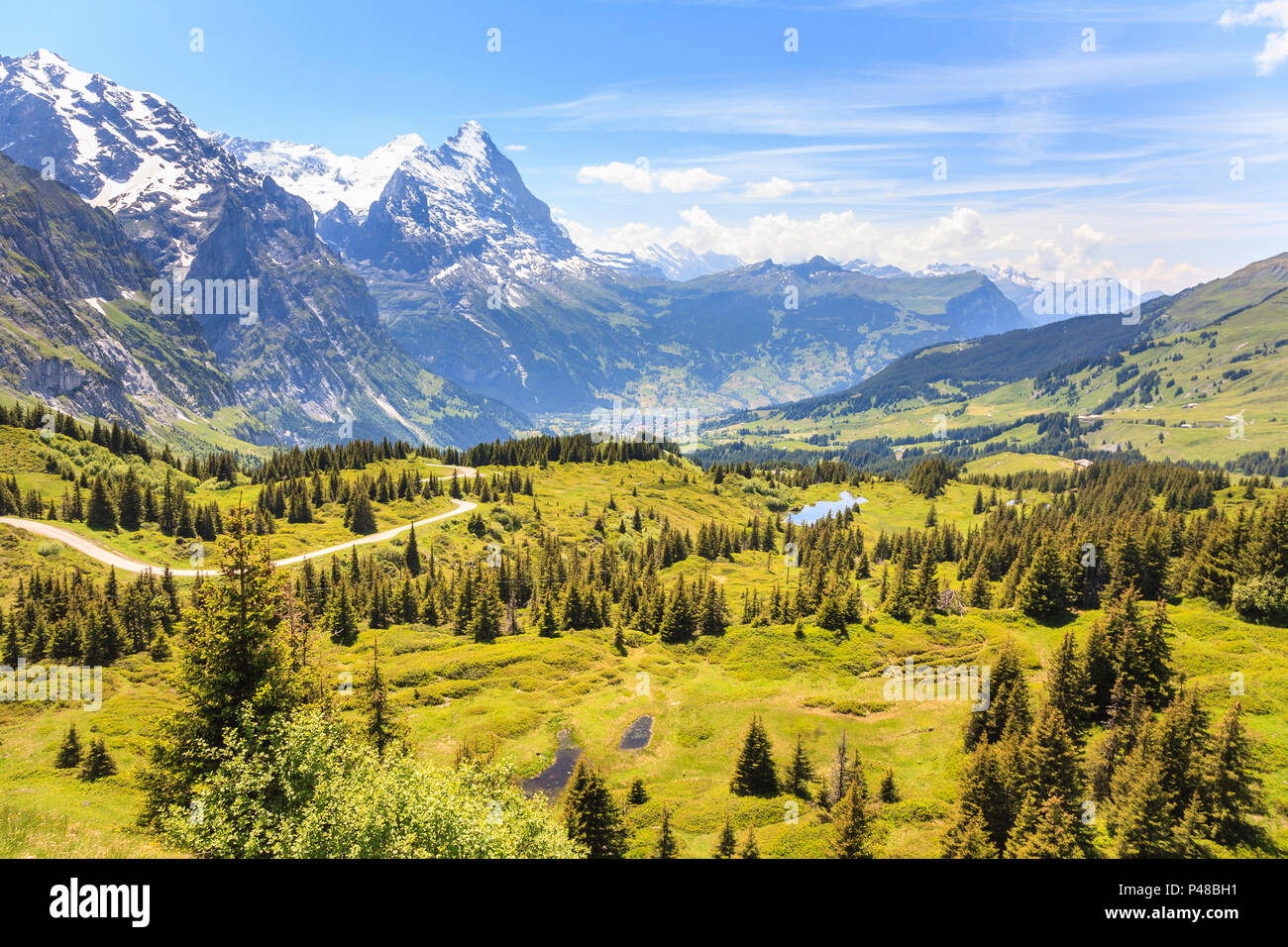 Panorama der schönen Landschaft von Grosse Scheidegg nach Grindelwald,  Berner Oberland, Schweiz, mit Wetterhorn und Streckhorn Berge  Stockfotografie - Alamy