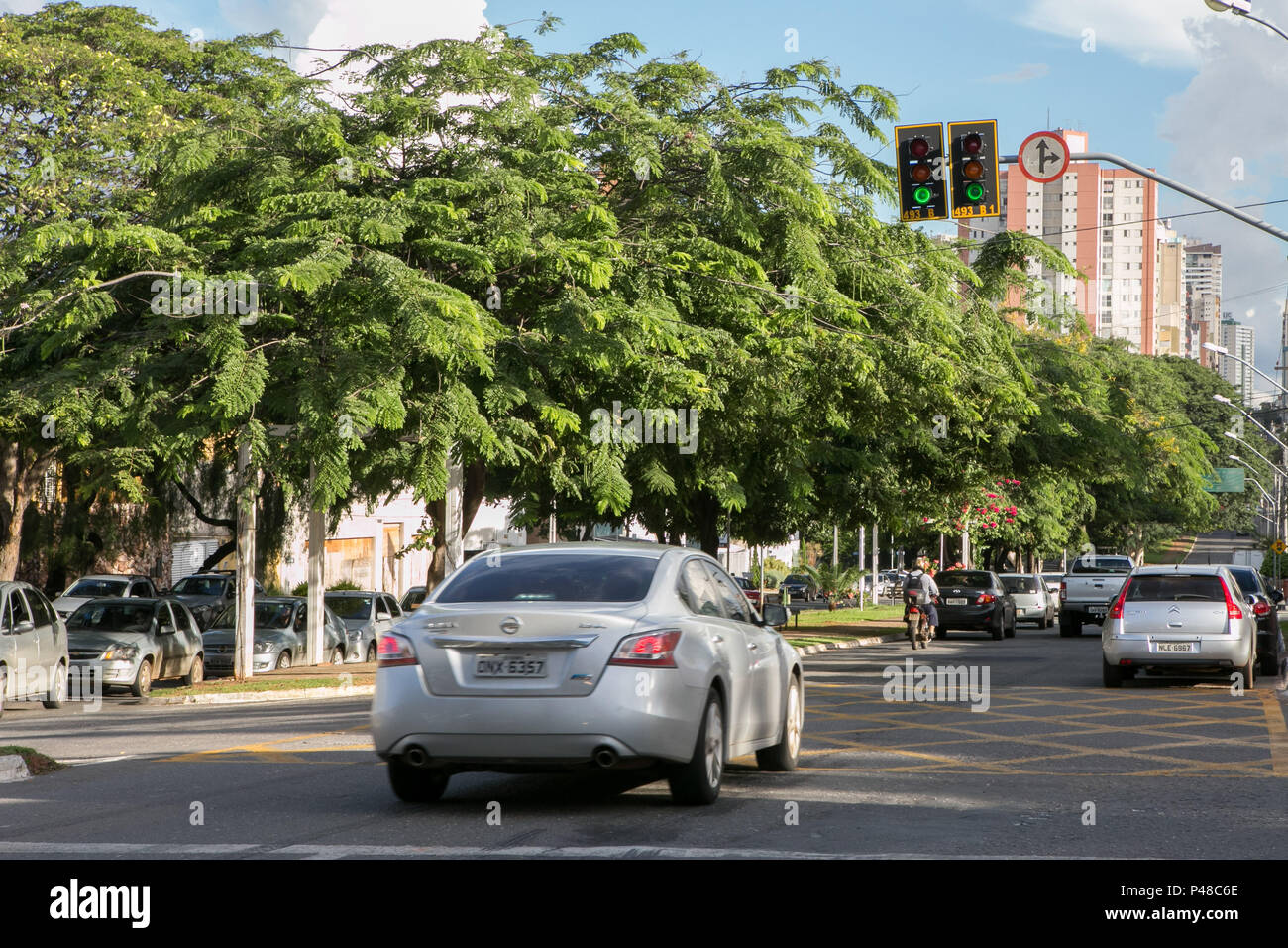 Goiânia, GEHEN - 10.04.2015: RUA ARBORIZADA - Alameda Coronel Eugênio Jardim - setor Marista. (Foto: Murilo Bastos/Fotoarena) Stockfoto