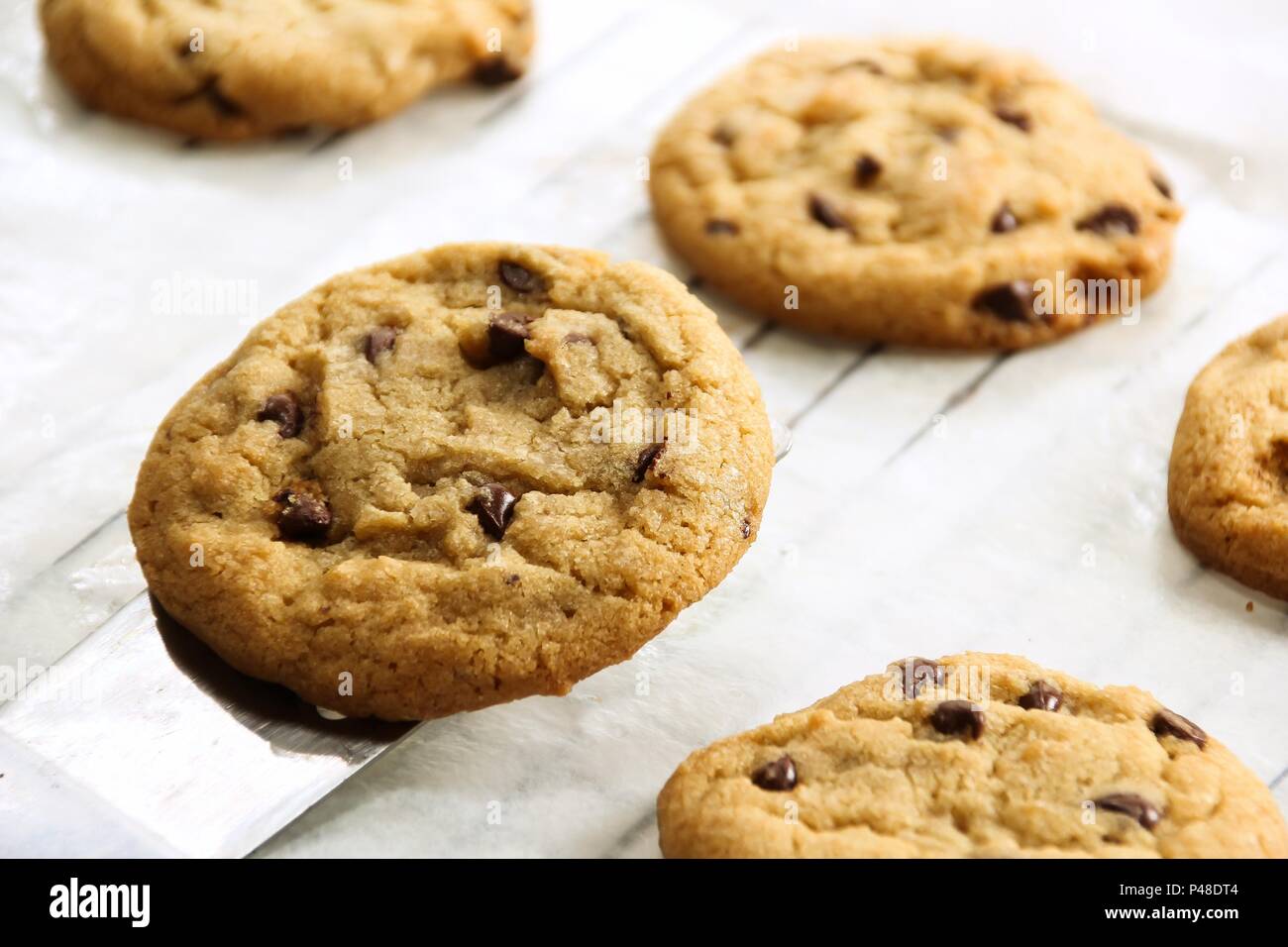 Hausgemachte Weich und chewy Chocolate Chip Cookies, selektiver Fokus Stockfoto