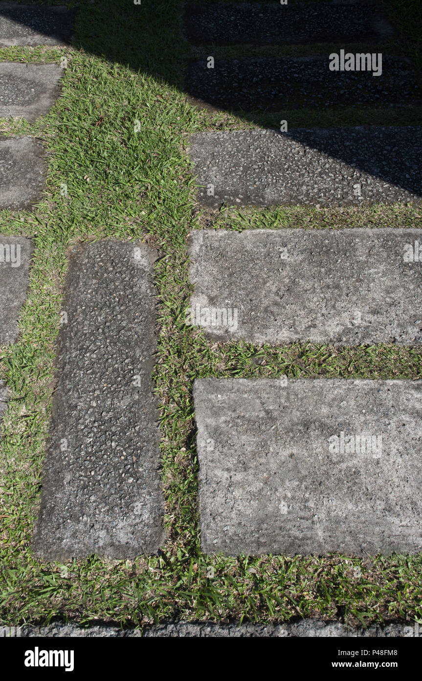 SÃƒO Paulo, SP - 27.06.2015: CALÃ ‡ ADA ECOLÃ" GICA - CalÃ§ada ecolÃ³gica na Vila Romana. (Foto: João £ o FÃ¡vero/Fotoarena) Stockfoto