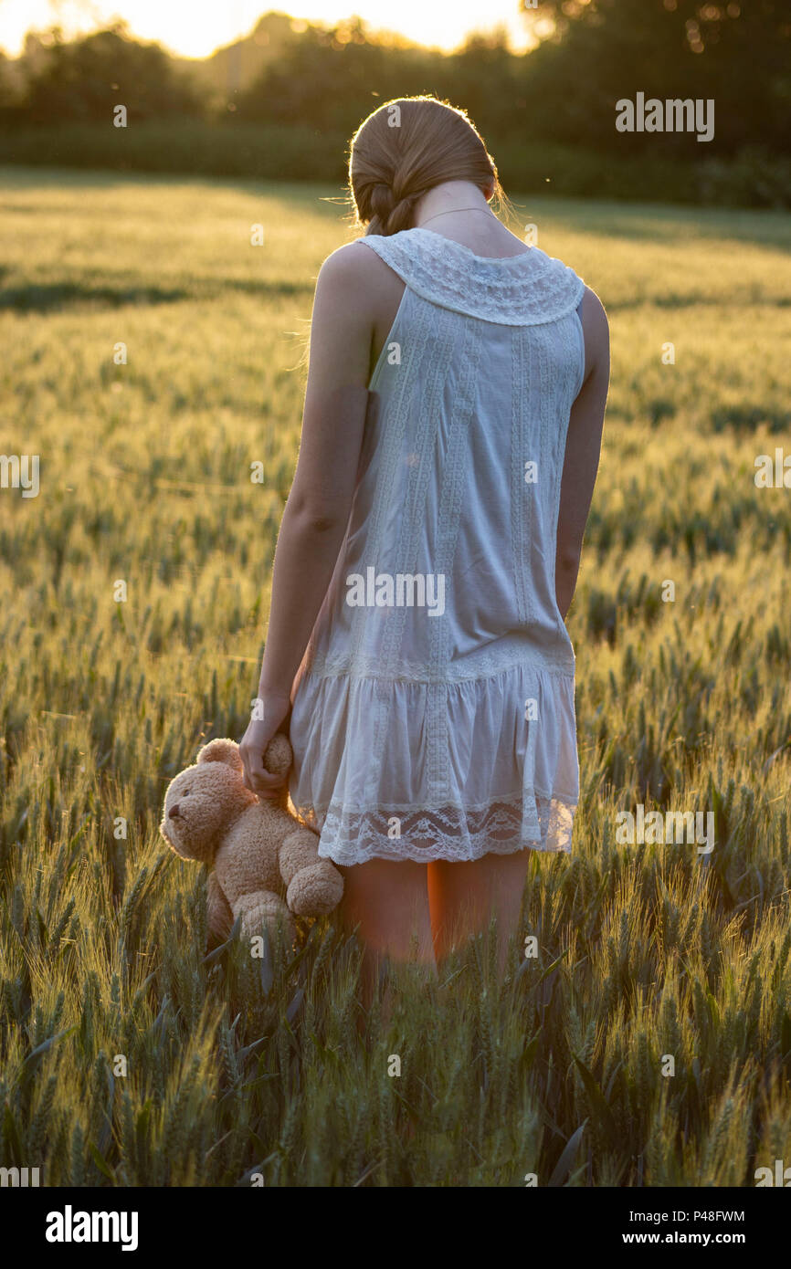 Mädchen in einem Maisfeld mit Teddybär in der Abendsonne in Yorkshire, Großbritannien Stockfoto