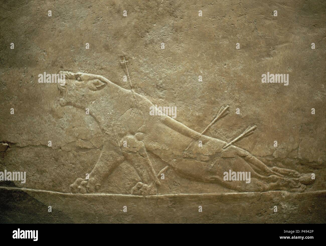 LEONA AGONIZANTE Entlasten 645 CPALACIO NINIVE. Ort British Museum