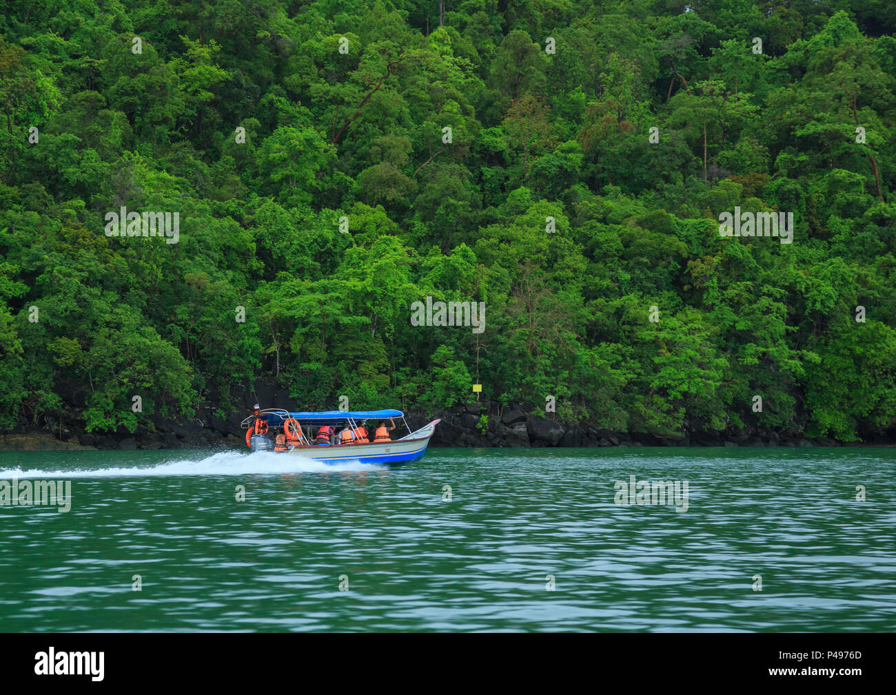 Mangroven Tour - die Insel Langkawi (Malaysia) Stockfoto