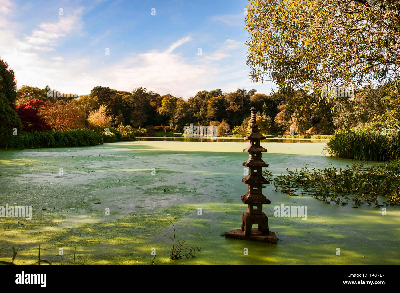 Mount Stewart Herbstfarben Boating Lake County Down Nordirland Stockfoto