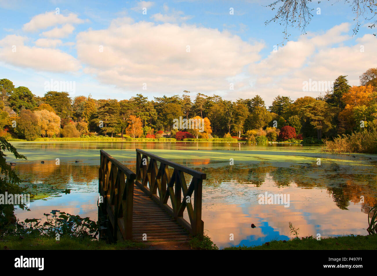 Mount Stewart Herbstfarben Boating Lake County Down Nordirland Stockfoto