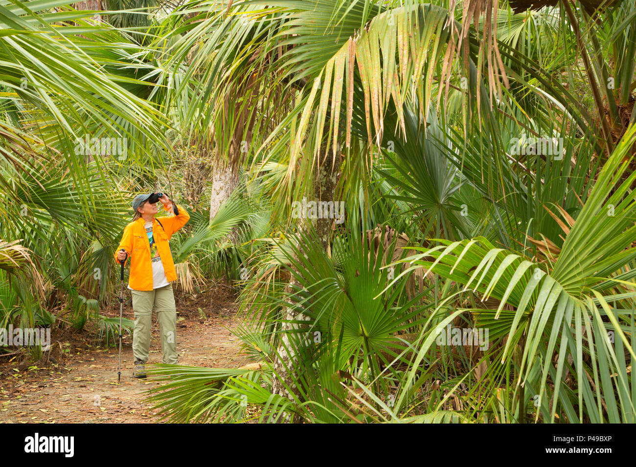 Nature Trail, Lake Woodruff National Wildlife Refuge, Florida Stockfoto