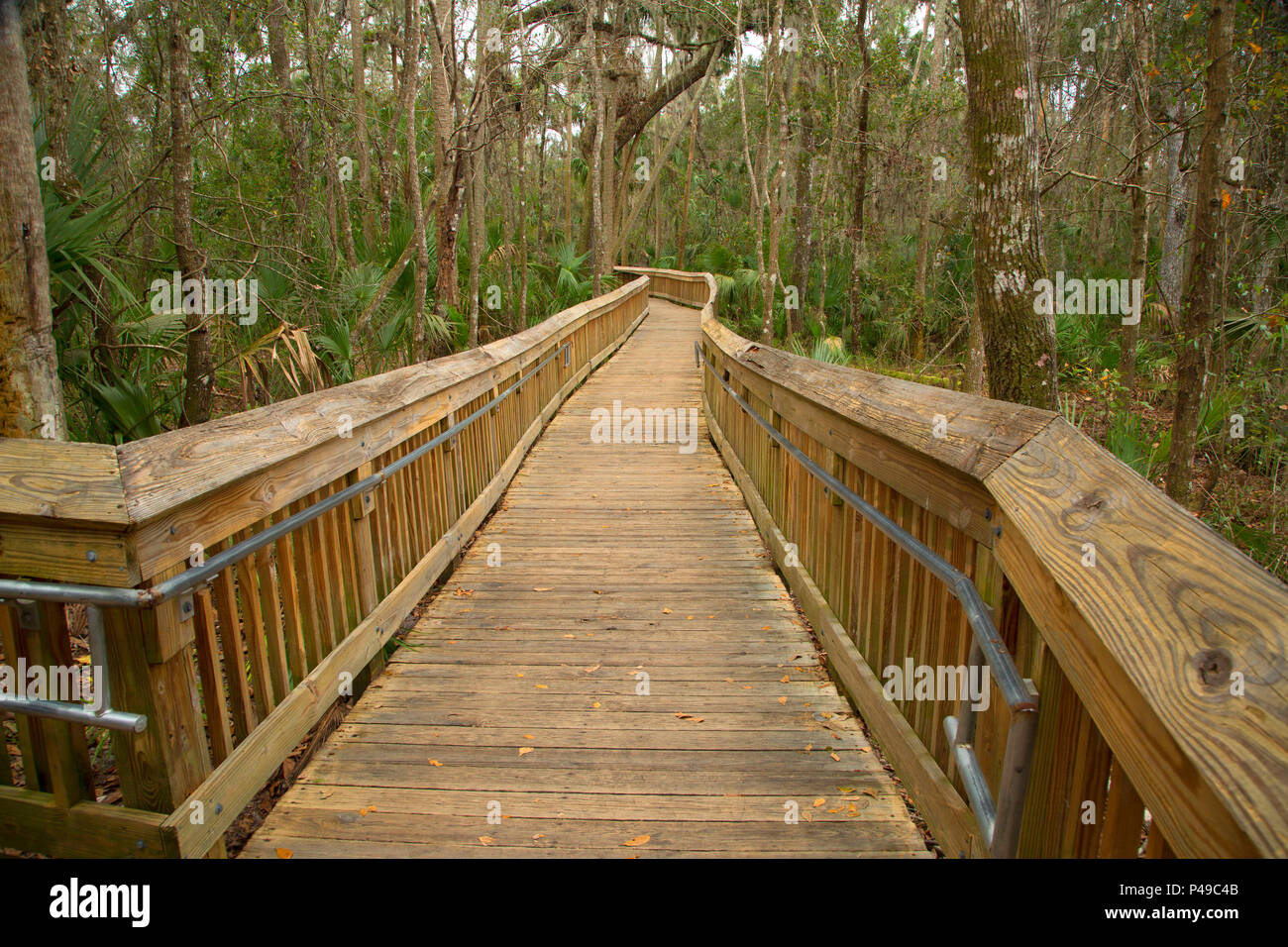 Boardwalk, Blue Spring State Park, Florida Stockfoto