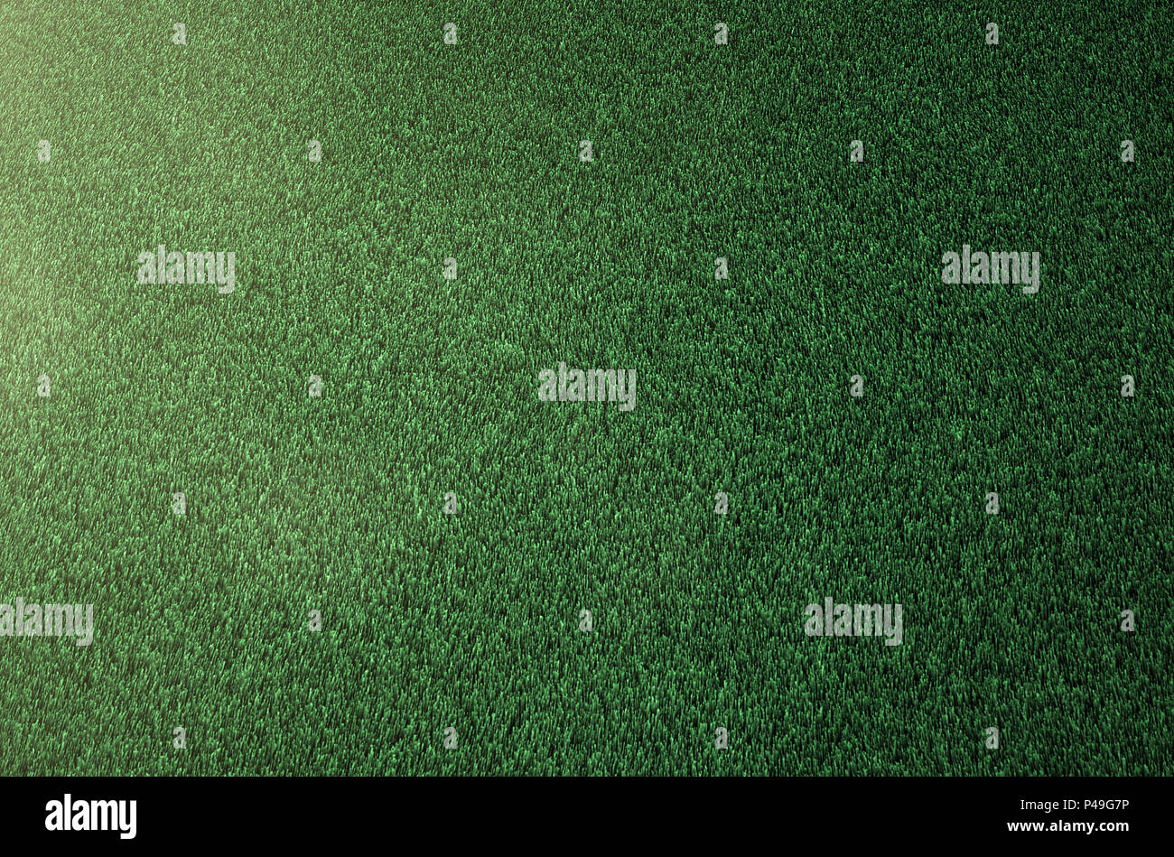 Green Grass Textur Hintergrund Stockfoto