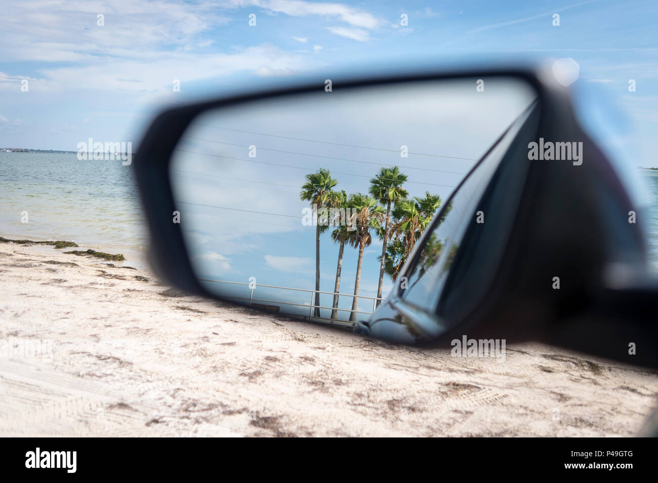 Auto Rückspiegel mit einer Reflexion der Palmen, Road Trip. Stockfoto