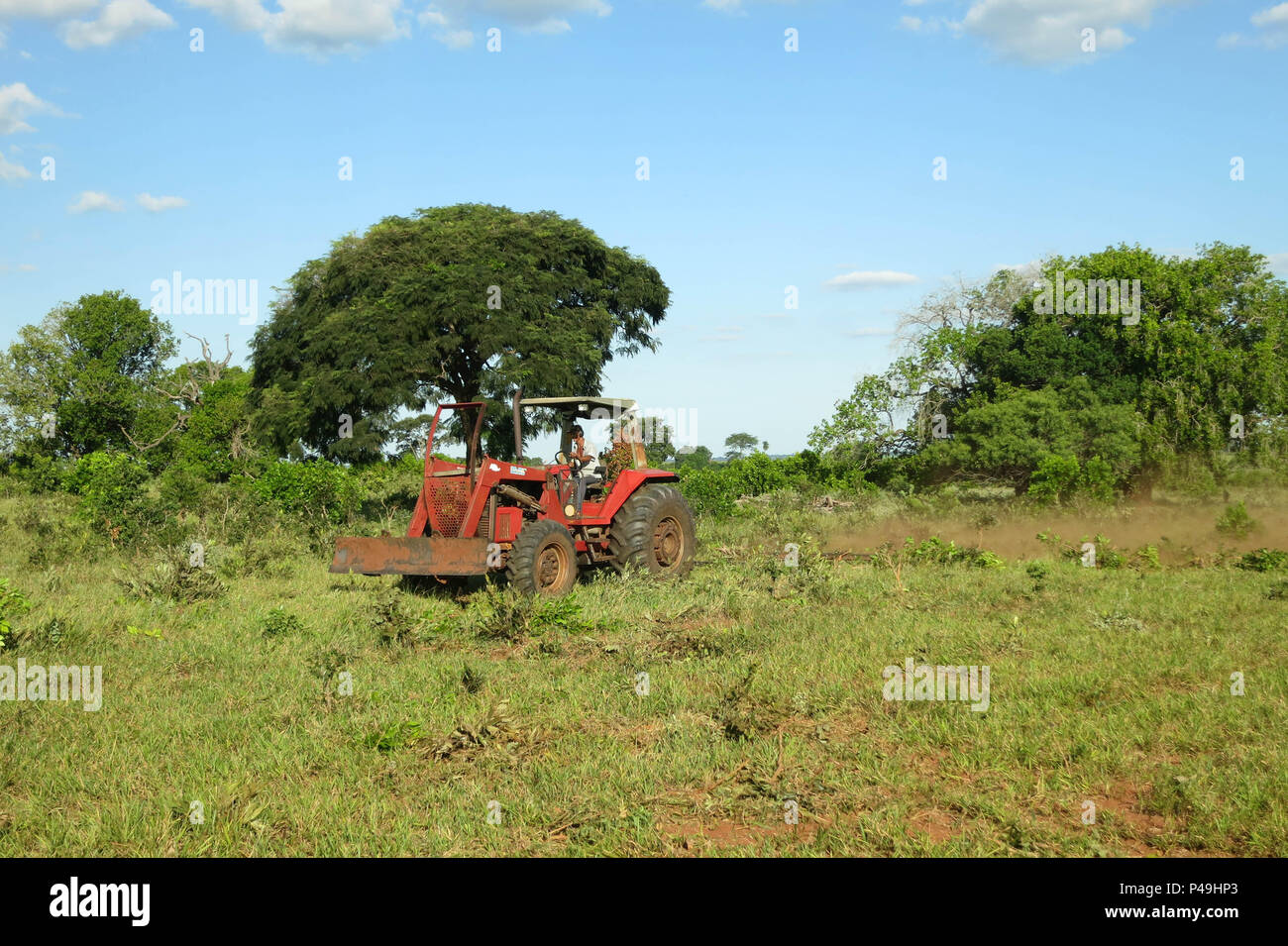 PRESIDENTE PRUDENTE, SP - 24.03.2015: FAZENDA KEINE MATO GROSSO DO SUL - Trator em Fazenda de Gado de Corte na Cidade da Nova Andradina, MS. (Foto: André Chaco/Fotoarena) Stockfoto