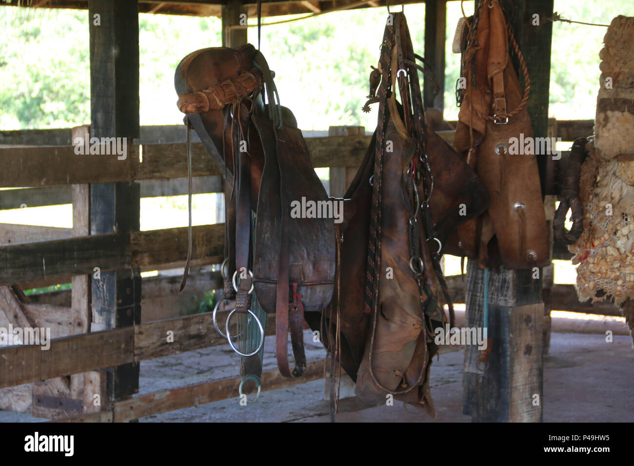 NOVA ANDRADINA, MS - 24.03.2015: FAZENDA KEINE MATO GROSSO DO SUL - Acessórios de montaria (cabeçada, rédeas, Freio [bridão], Sela, arreio [ou Basto], [ou baixeiro barrigueira, Manta] em cavalo) em estábulo de Fazenda de Gado de Corte na Cidade de Nova Andradina, MS. (Foto: André Chaco/Fotoarena) Stockfoto