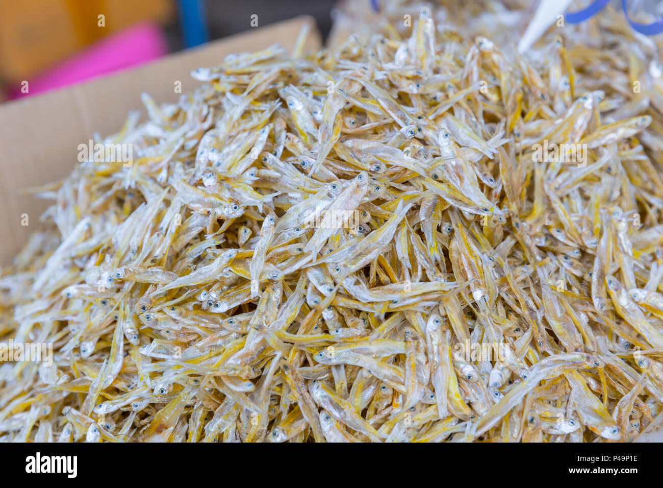 Kleine Fische für Lebensmittel Verkauf an den Mahachai markt Sea Food Markt einer von Thailands größte Meeresfrüchte Märkte getrocknet. Stockfoto