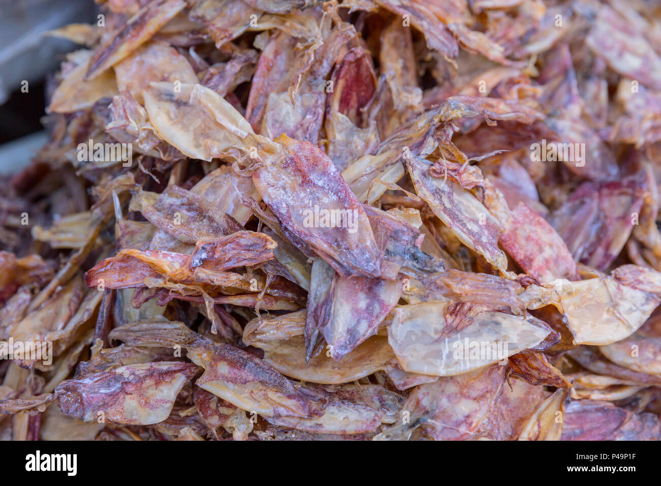 Getrockneten Tintenfisch für Lebensmittel Verkauf an den Mahachai markt Sea Food Markt einer von Thailands größte Meeresfrüchte Märkte. Stockfoto