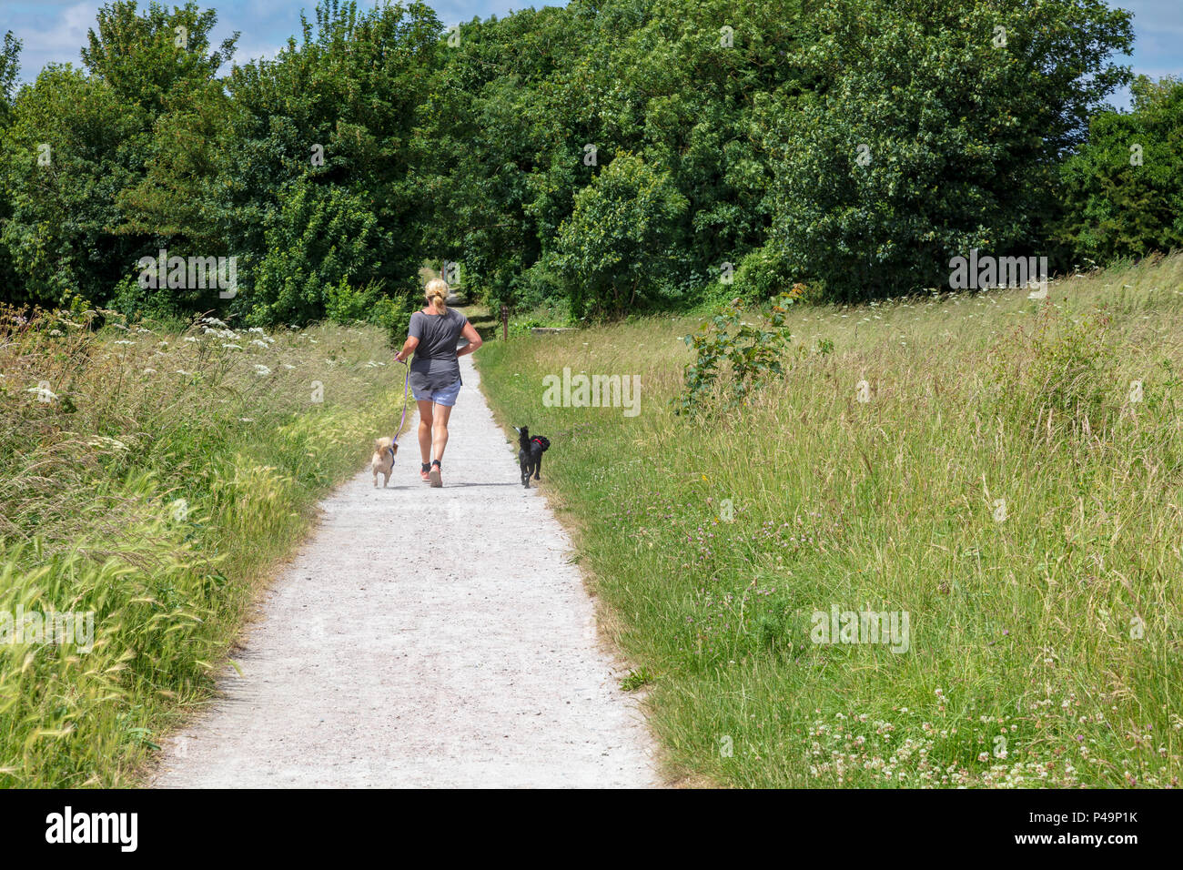 Gillingham große Linien Heritage Park, Wege kreuzen sich die Grünflächen die Verkürzung der Wege zwischen den Medway Towns, auch Freizeitaktivitäten im Überfluss, Kent, Großbritannien Stockfoto