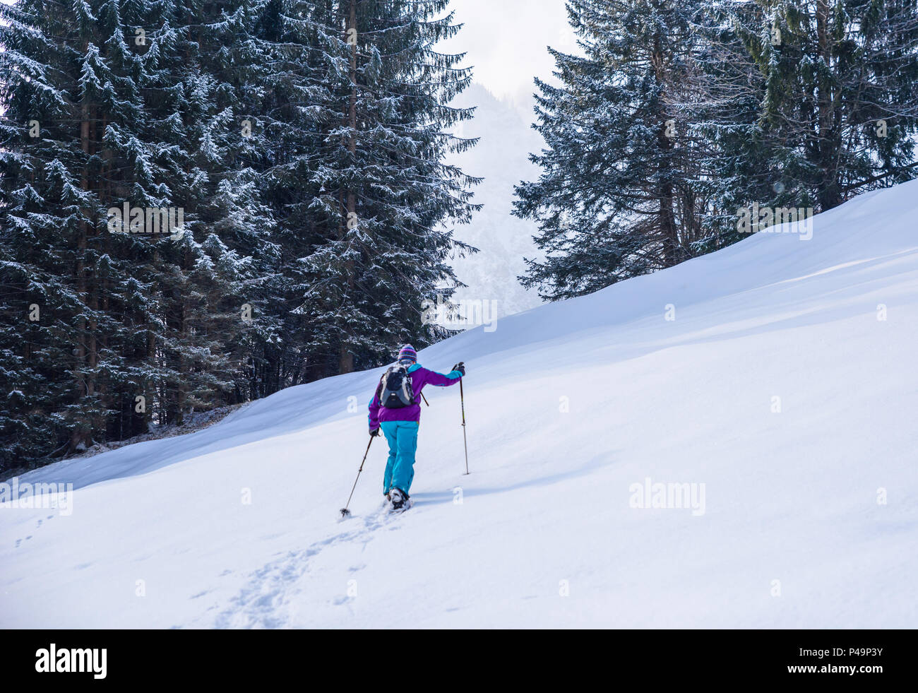 Wanderer mit Schneeschuhen auf Schnee Trail im Winter Landschaft aus Wald in Oberstdorf, Bayern Alpen im Süden von Deutschland. Schöne Landschaft mit Nadelholz Stockfoto