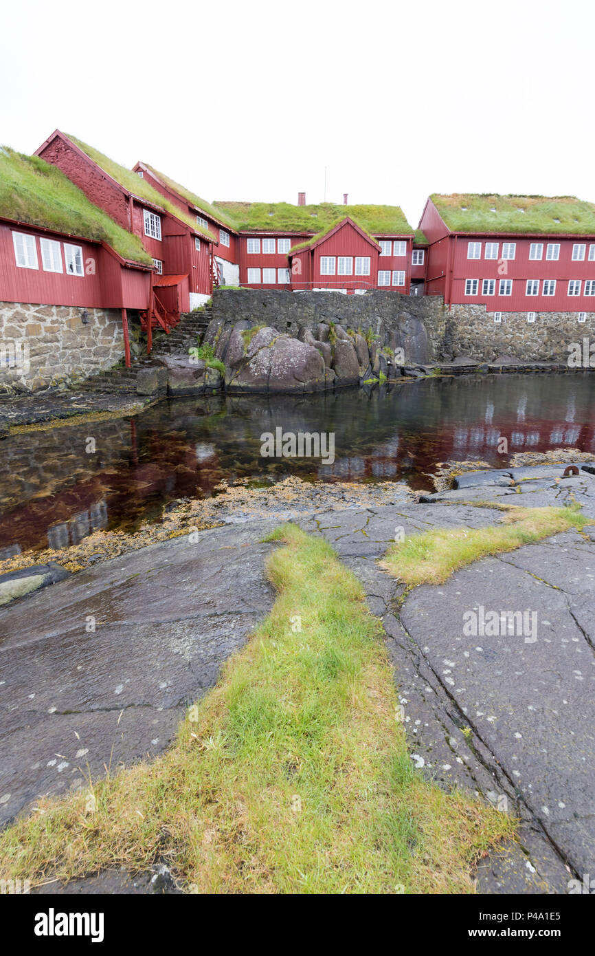 Gras Dächer in Tinganes, die Altstadt von Torshavn mit roten alten Holzhäusern, Streymoy Island, Färöer Inseln Stockfoto