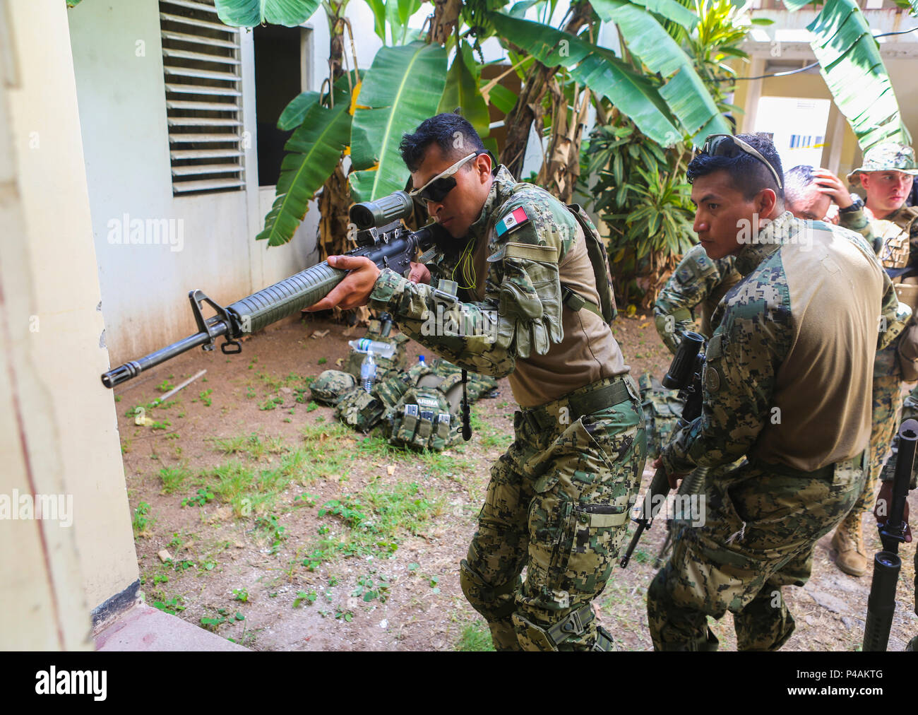 Die mexikanische Marine Infanterie Kraft Marines Praxis Zimmer clearing Techniken während der Übung Tradewinds 2016 bis Park Camp, Jamaika, 24. Juni 2016. Nationen aus der ganzen Karibik in Verbindung mit den USA, Kanada, Großbritannien und Frankreich, die Teilnahme an der Übung die Interoperabilität untereinander zu verbessern. (U.S. Marine Corps Foto von Cpl. Samuel Guerra) Stockfoto