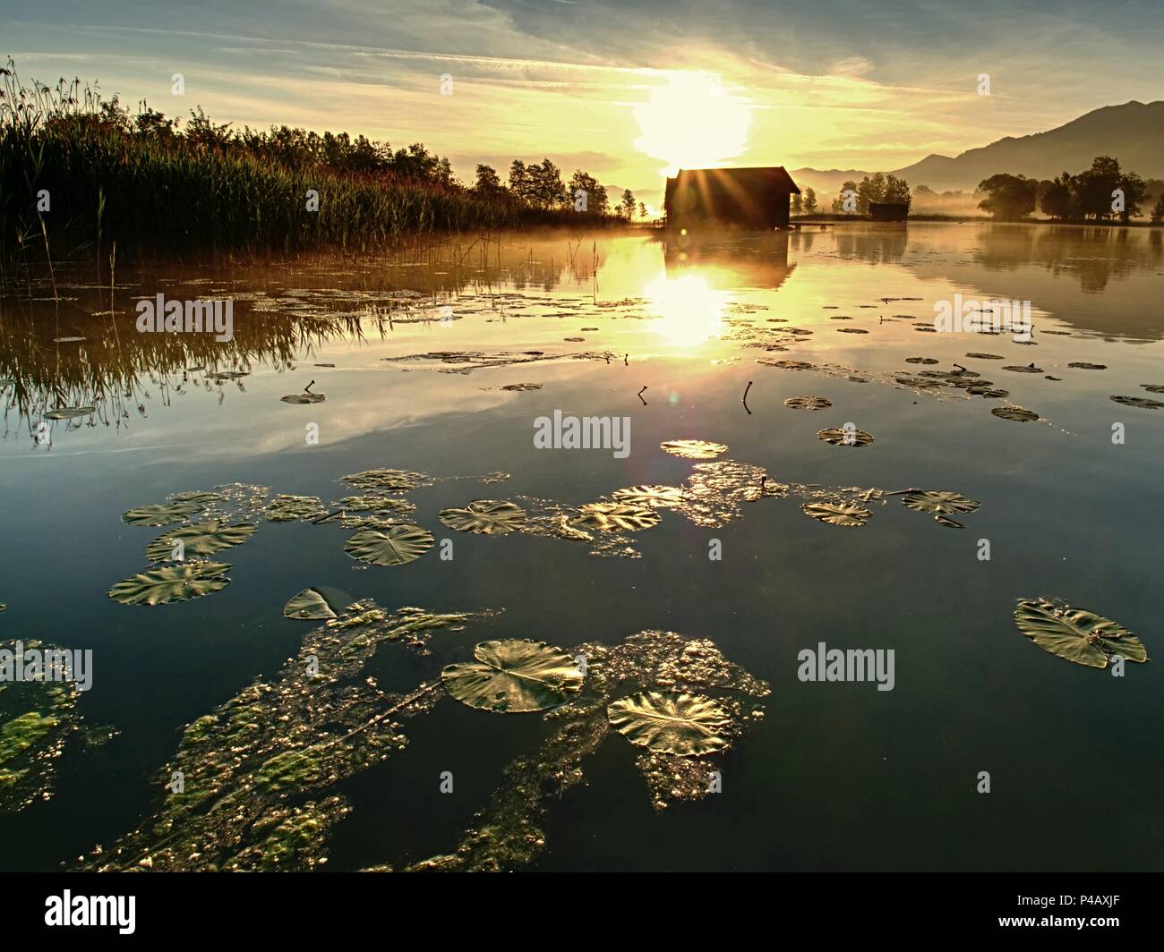 Romantischen sonnenaufgang Reflexion auf dem Kochelsee gegen Bootshäusern. Anfang Sommer morgen ansehen, Bayern, Deutschland Stockfoto