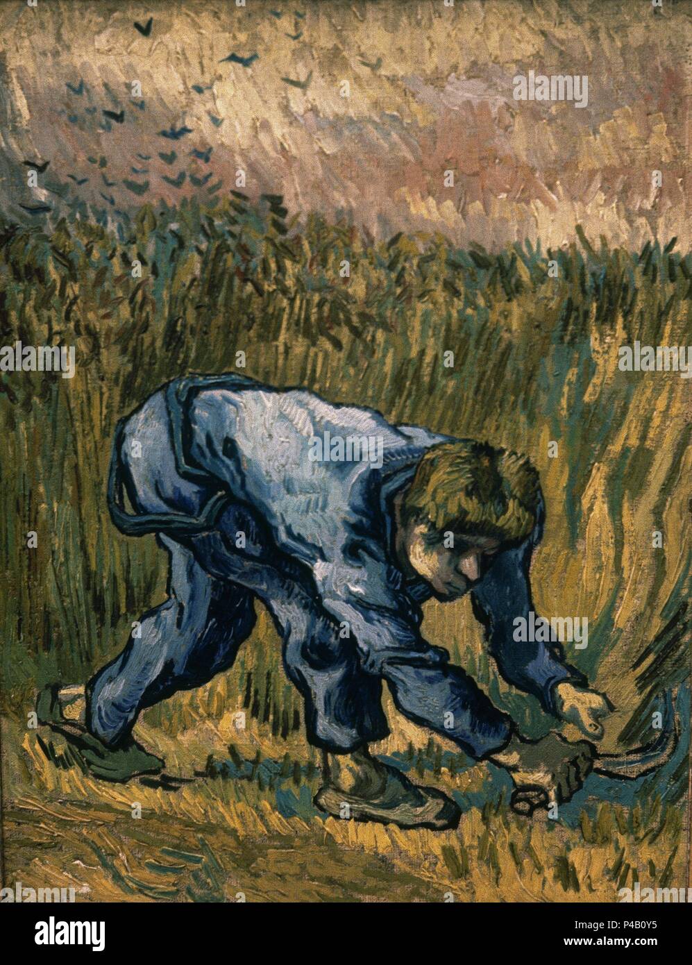 Niederländische Schule. Reaper mit Sichel (nach der Hirse). 1889. Öl auf Leinwand (44 x 33 cm). Amsterdam, Van Gogh Museum. Autor: Vincent van Gogh (1853-1890). Ort: Van Gogh Museum, Amsterdam, HOLANDA. Stockfoto