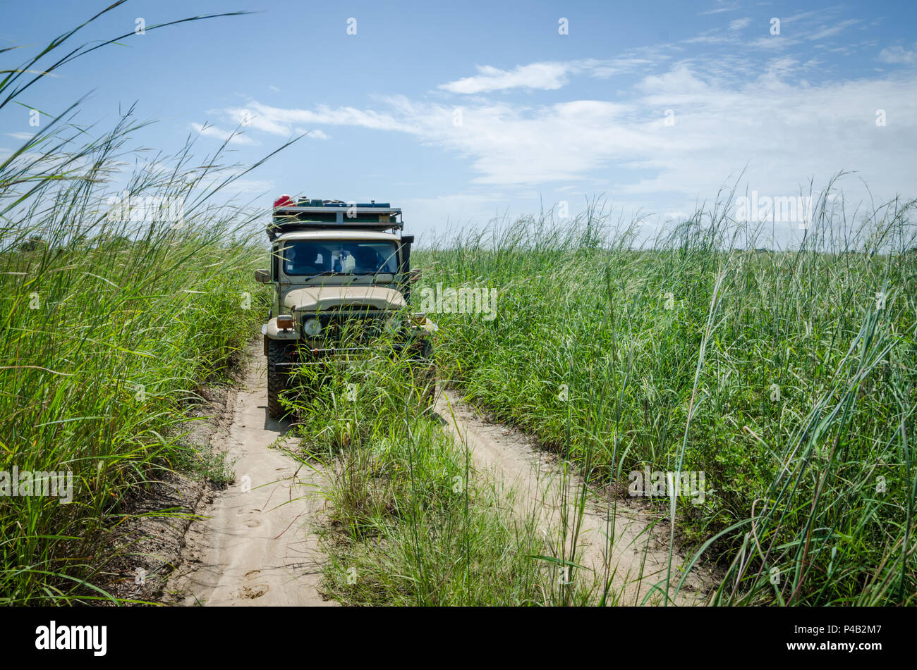 Classic 4x4 offroad Auto auf bewachsenem Track mit hohen Gras zwischen Ambriz und Luanda in Angola, Afrika. Stockfoto