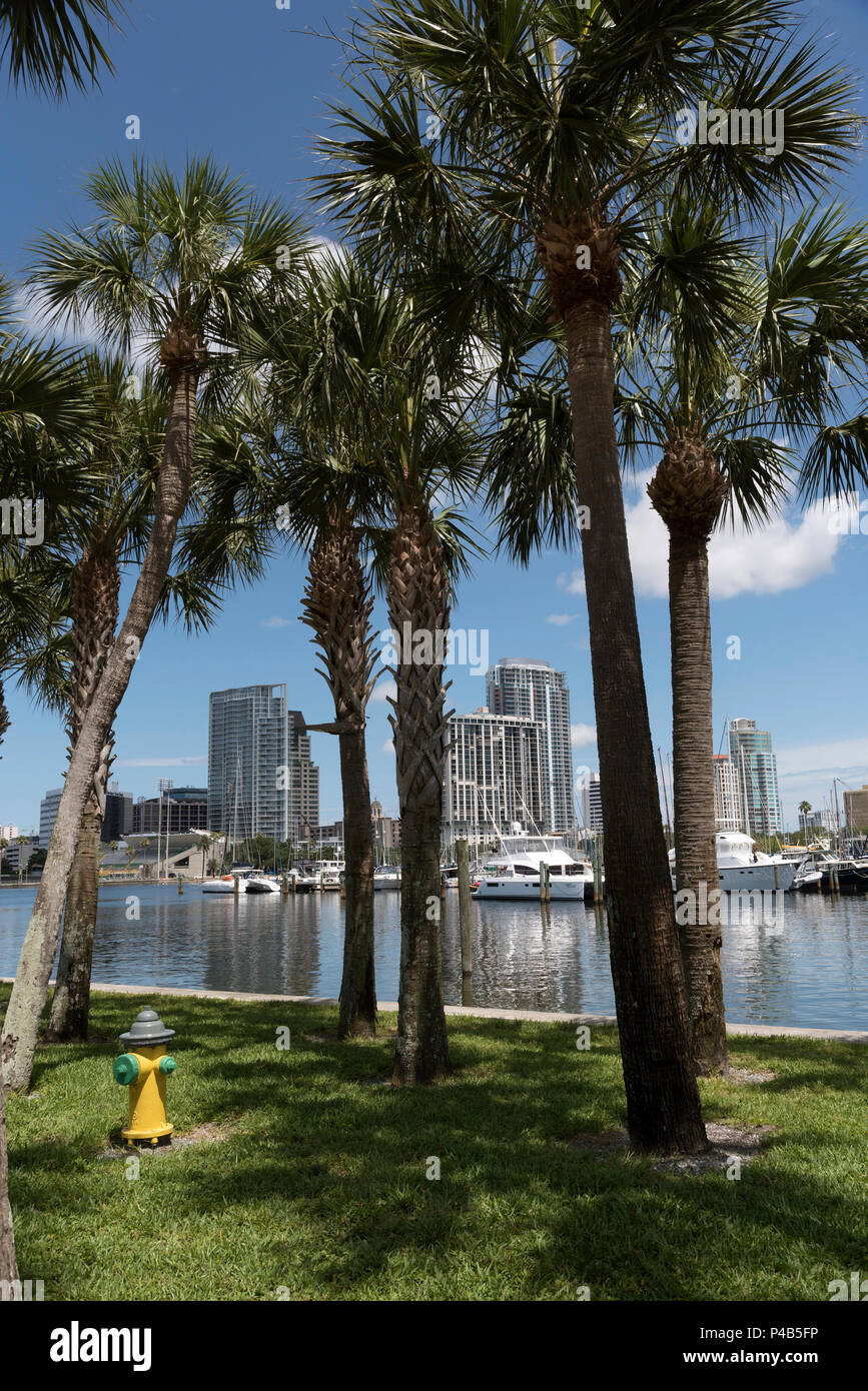 St. Petersburg, Florida, USA, 2018. Luxus Boote am Wasser in der Innenstadt von St. Petersburg, FL, USA Stockfoto