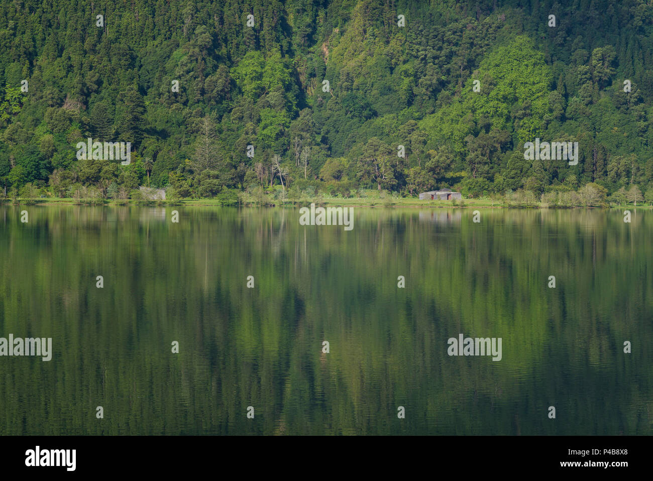 Portugal, Azoren, Sao Miguel, Furnas, Lago das Furnas Lake, morgen Stockfoto