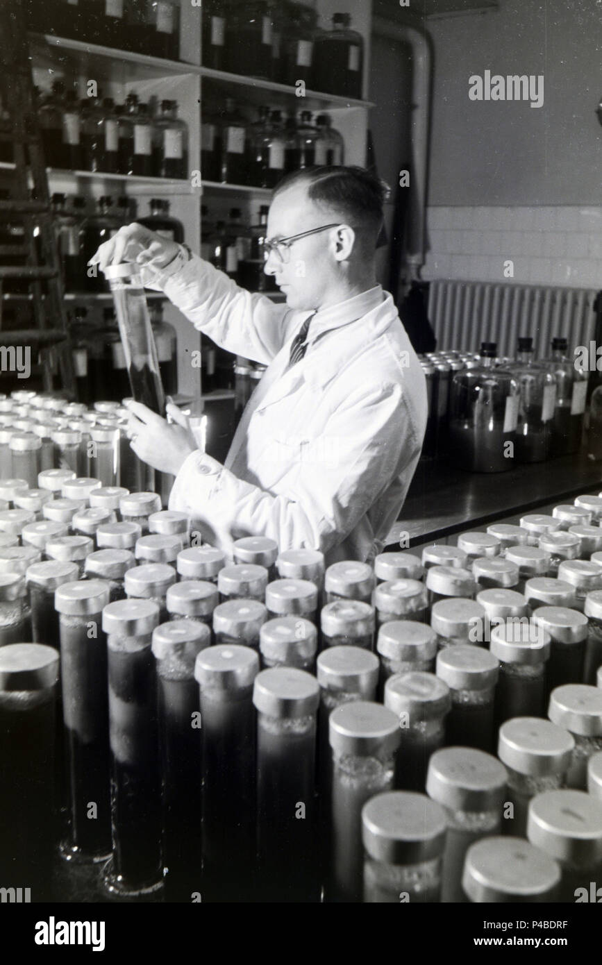 Eine Lab Assistant controlling Flasche Medizin Proben in ein Labor der Behringwerke, Marburg, Deutschland 1930. Stockfoto